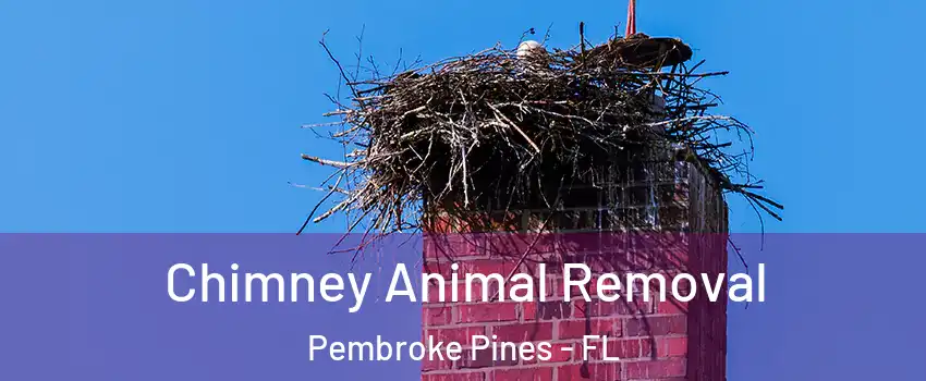 Chimney Animal Removal Pembroke Pines - FL