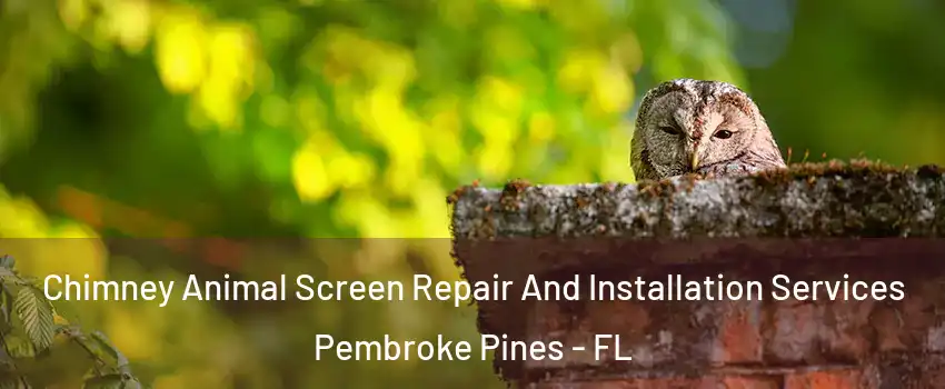 Chimney Animal Screen Repair And Installation Services Pembroke Pines - FL