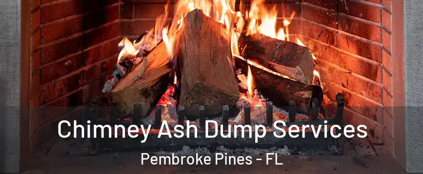  Chimney Ash Dump Services Pembroke Pines - FL