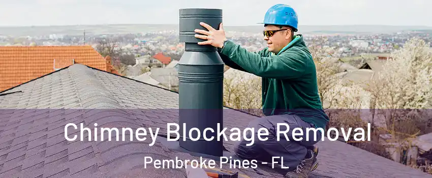  Chimney Blockage Removal Pembroke Pines - FL