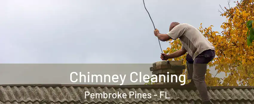  Chimney Cleaning Pembroke Pines - FL