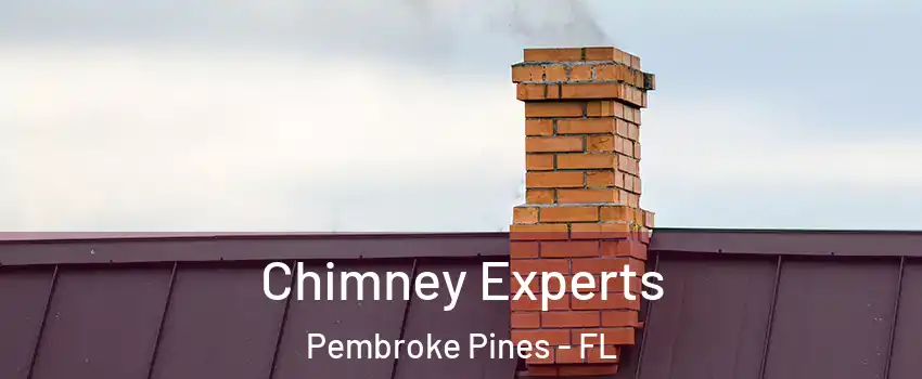 Chimney Experts Pembroke Pines - FL