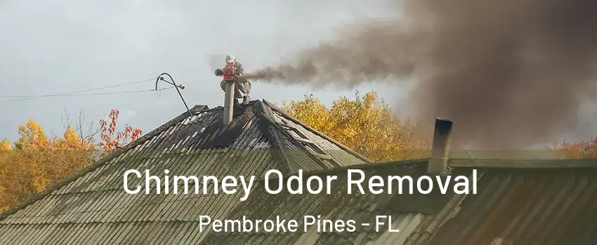  Chimney Odor Removal Pembroke Pines - FL