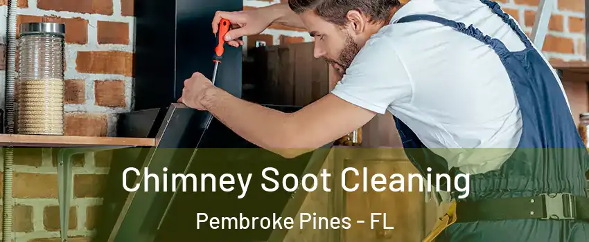  Chimney Soot Cleaning Pembroke Pines - FL