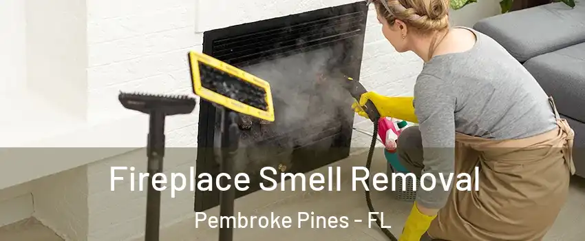  Fireplace Smell Removal Pembroke Pines - FL