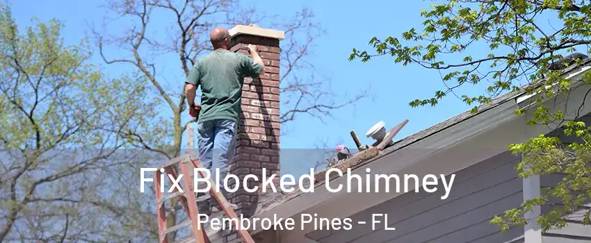  Fix Blocked Chimney Pembroke Pines - FL