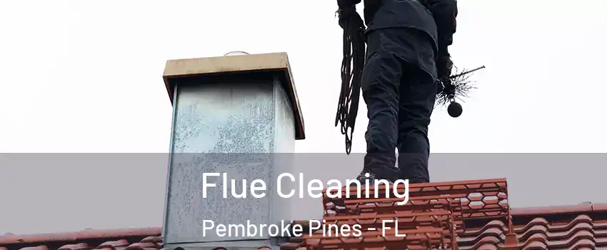  Flue Cleaning Pembroke Pines - FL