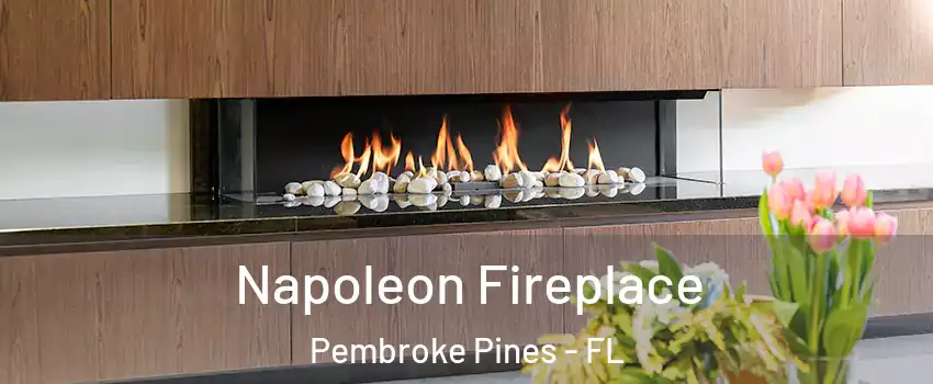  Napoleon Fireplace Pembroke Pines - FL